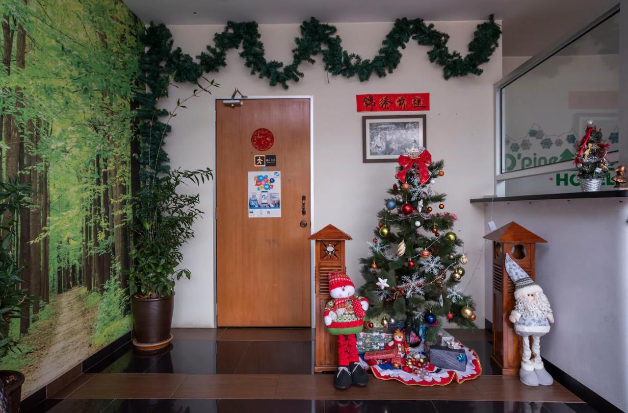 D'pinetrees 2*